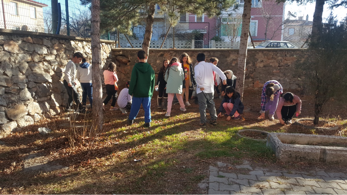 Okulumuz bahçesindeki ağaçlarımıza kış bakımı yaptık